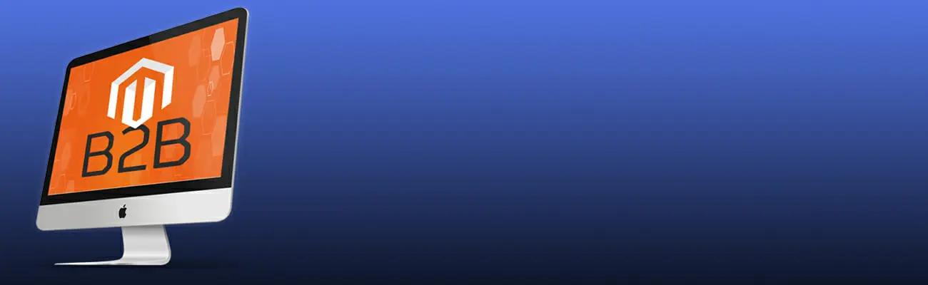 Magento B2B Ecommerce Features